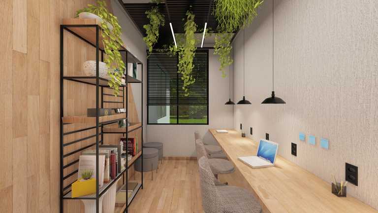 Planta